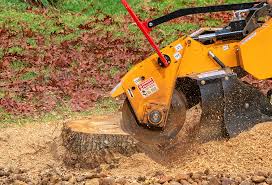 Best Aeration Services  in Mobile, AL