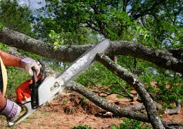 Best Weed Control  in Mobile, AL